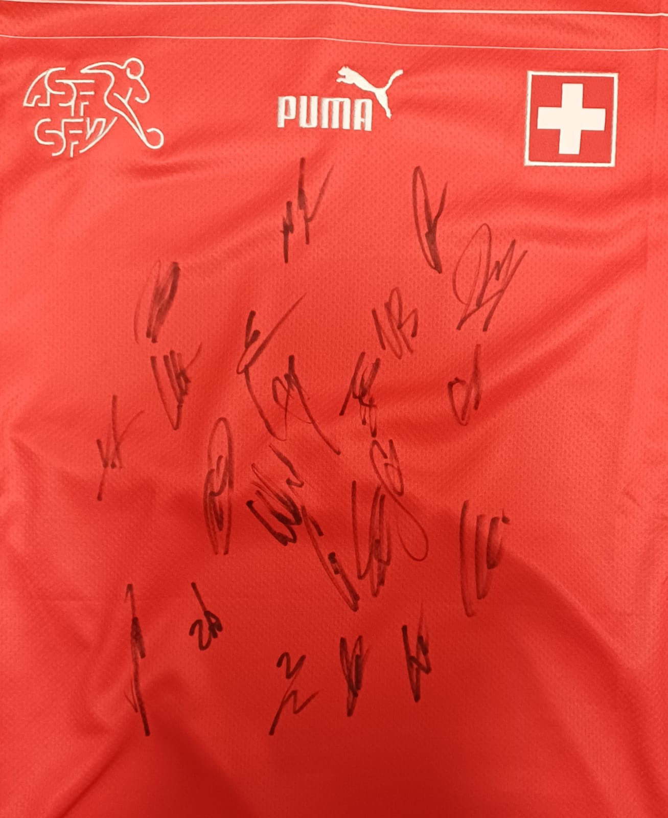 Schweiz Trikot- Wm 2022 mit Originalunterschriften